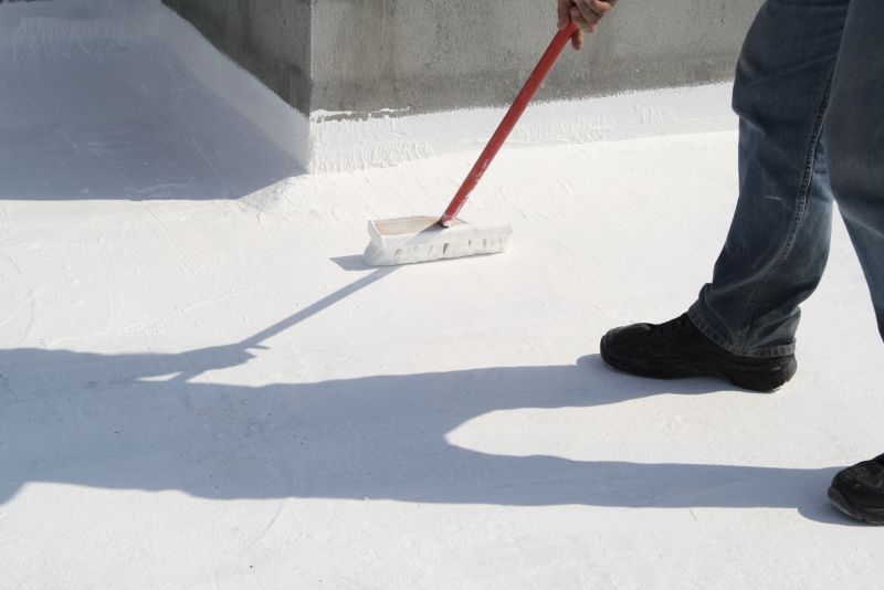 Tpo Roof Coating Service detail