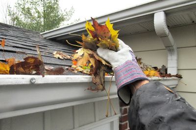 Gutter and Roof Care